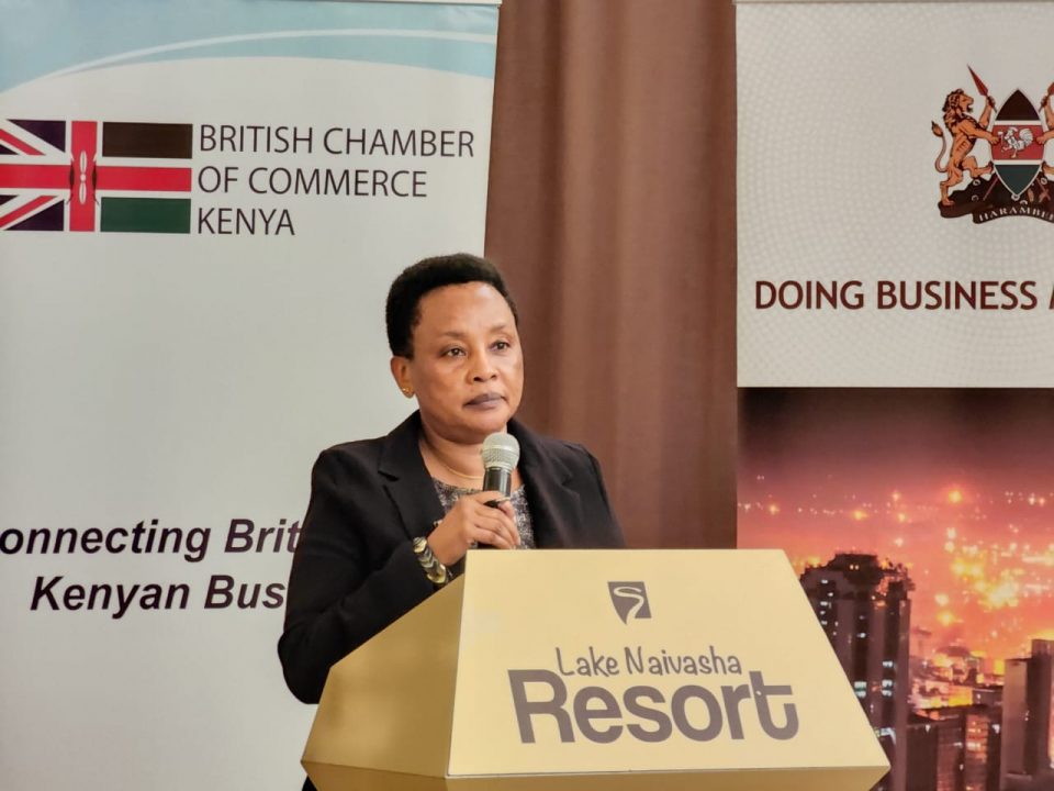Judiciary committed to expediting ‎resolution of commercial disputes and enhancing access to ‎justice in commercial sector: DCJ Mwilu